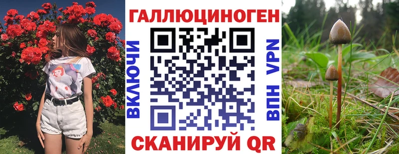 mega ссылки Суровикино Псилоцибиновые грибы MAGIC MUSHROOMS купить наркотик